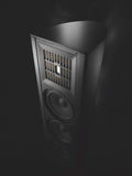 Piega Coax 711 Speaker